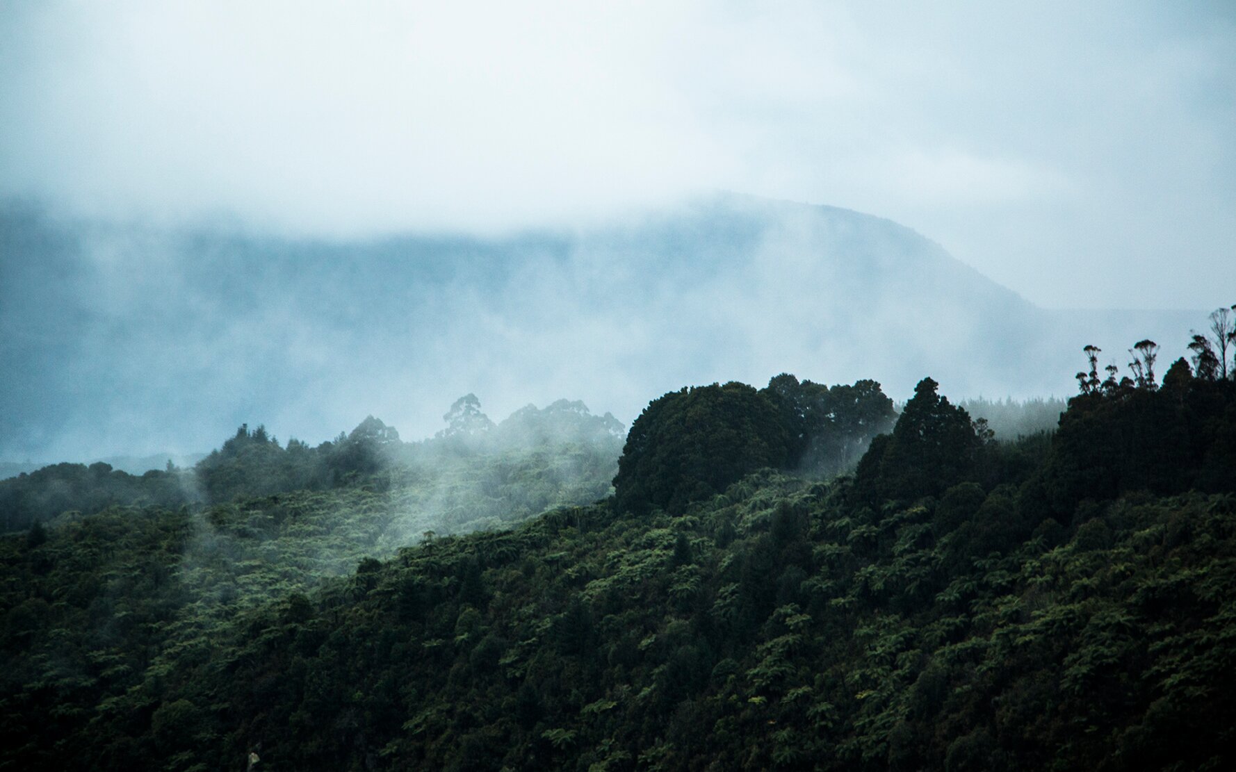 New Zealand4
