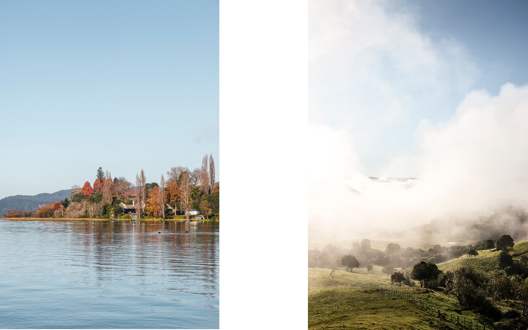 New Zealand5