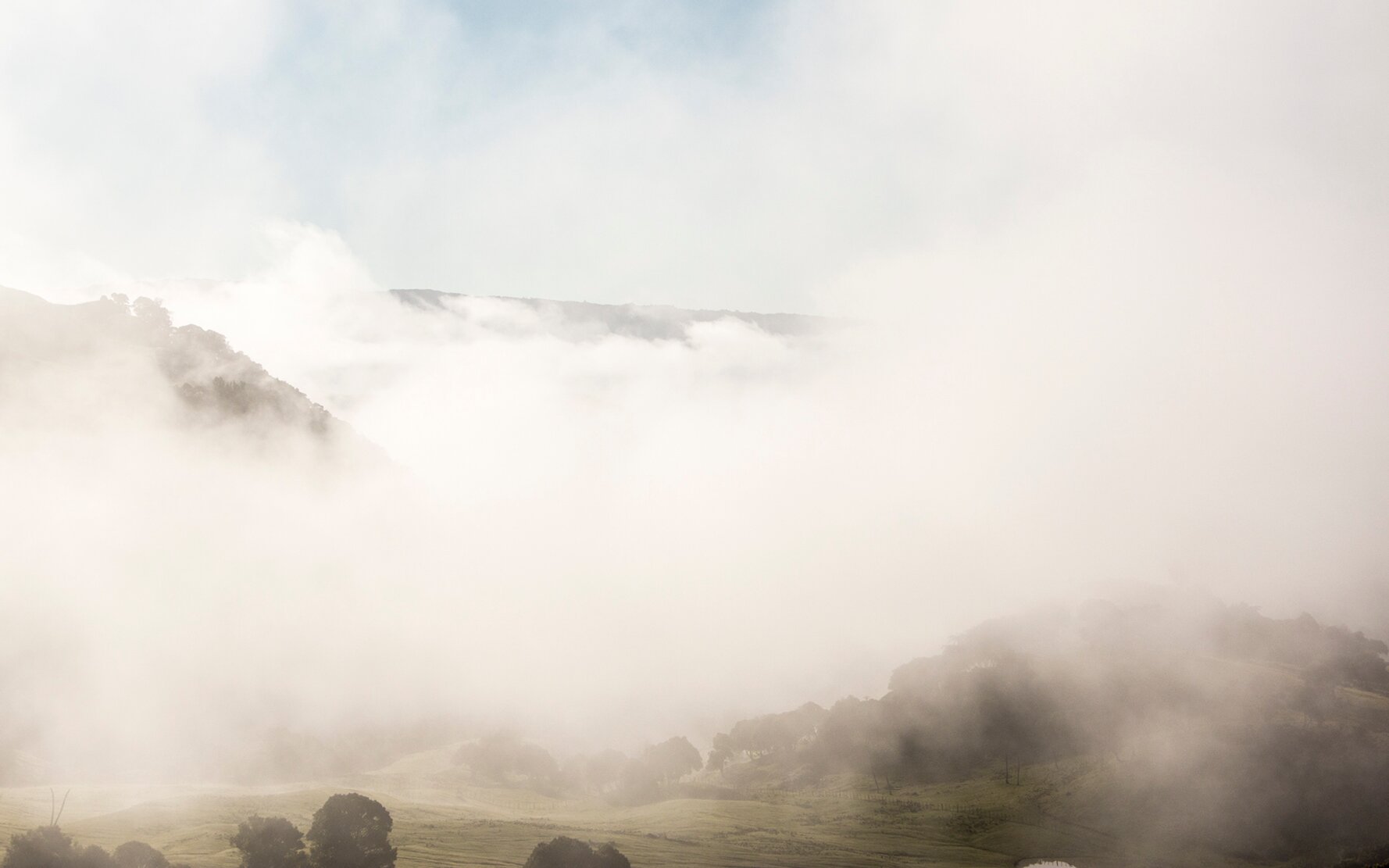 New Zealand9