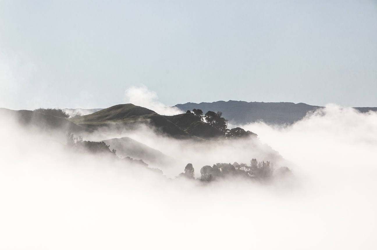 New Zealand